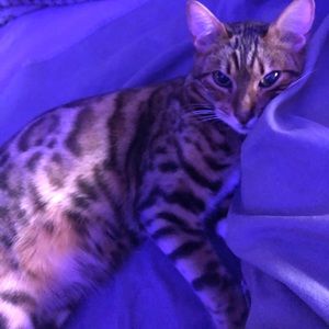 Meet your Posher, Holly